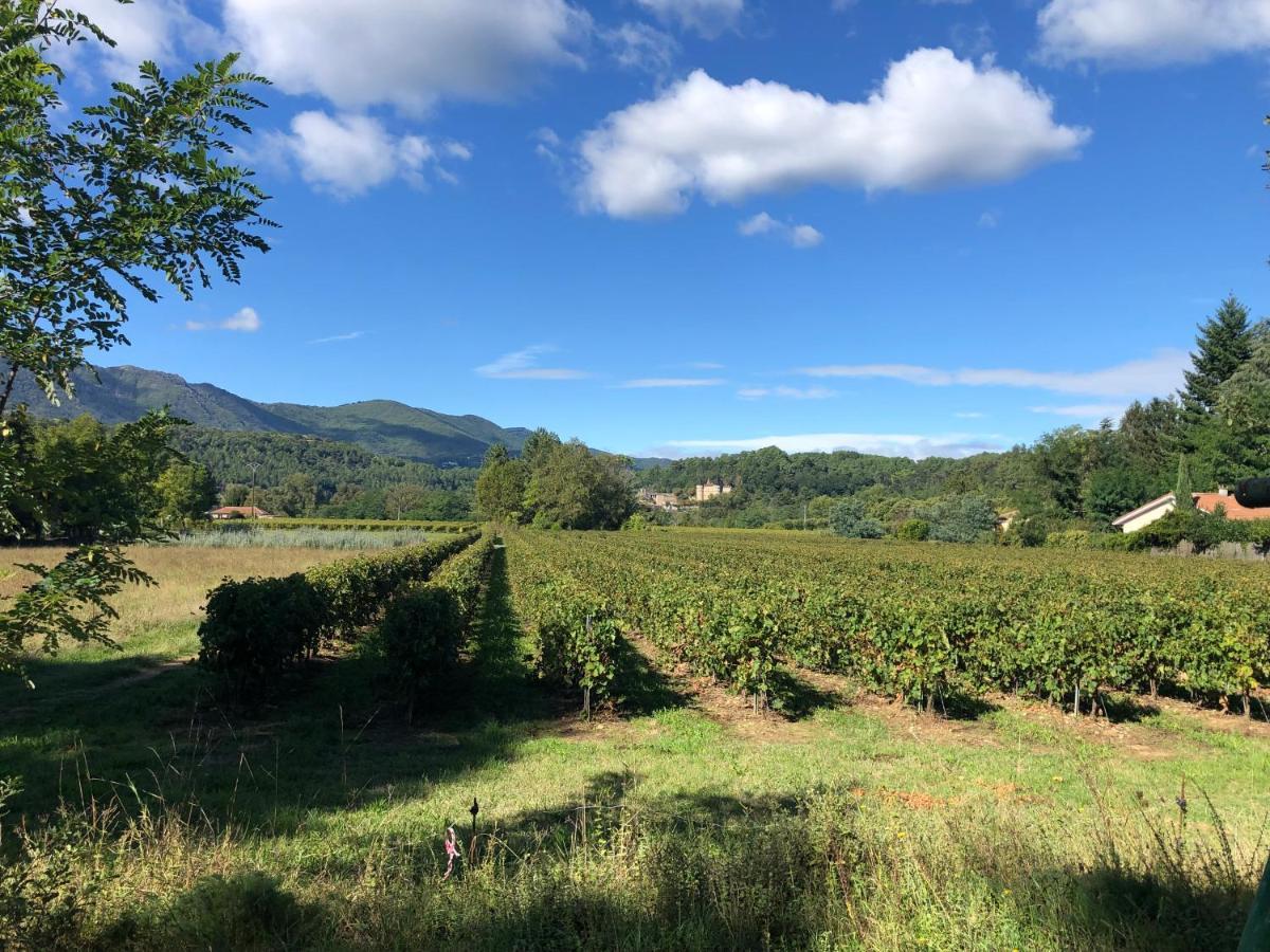 Terres De France - Le Domaine Des Vans Chambonas Exteriér fotografie