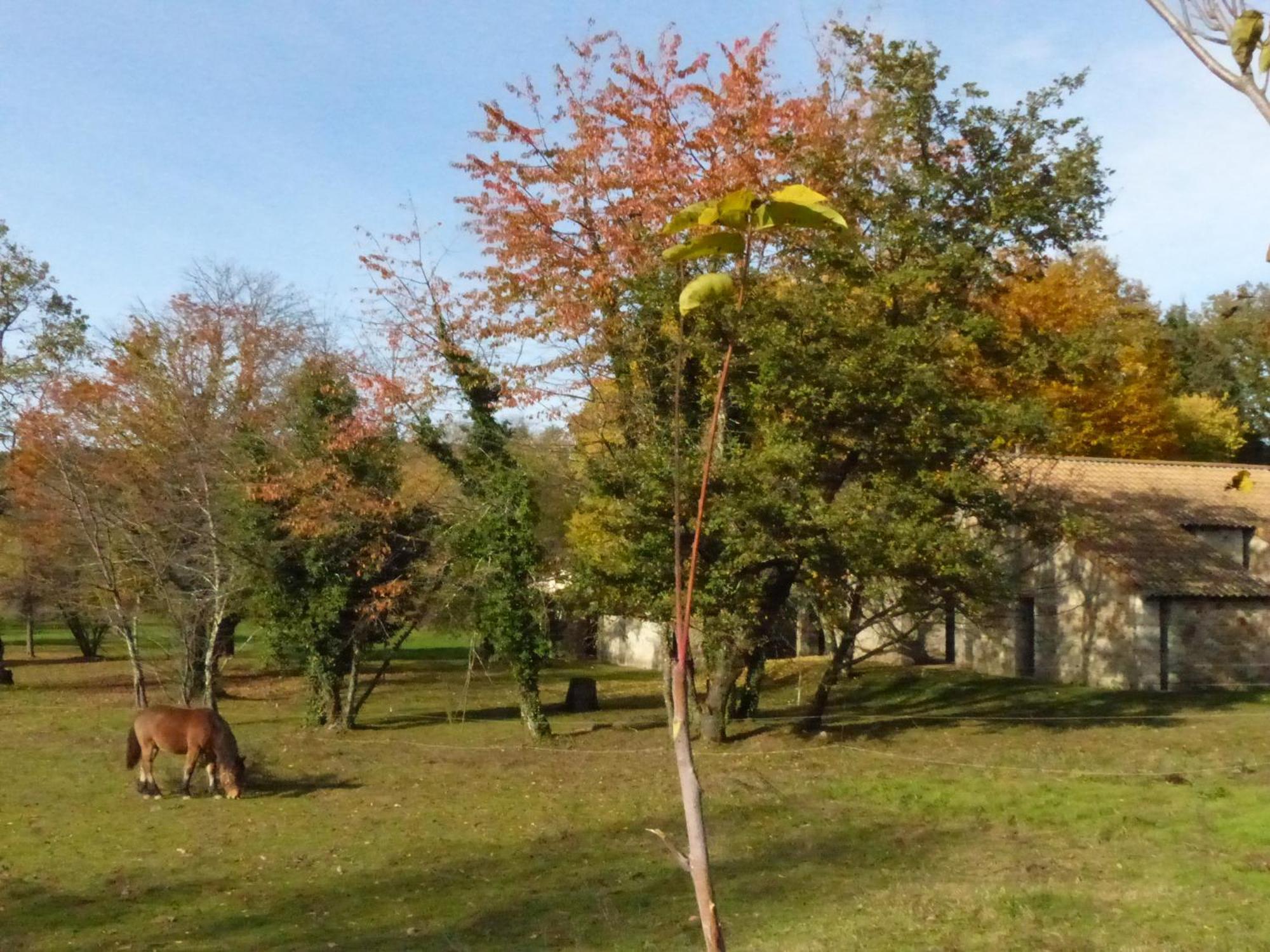 Terres De France - Le Domaine Des Vans Chambonas Exteriér fotografie