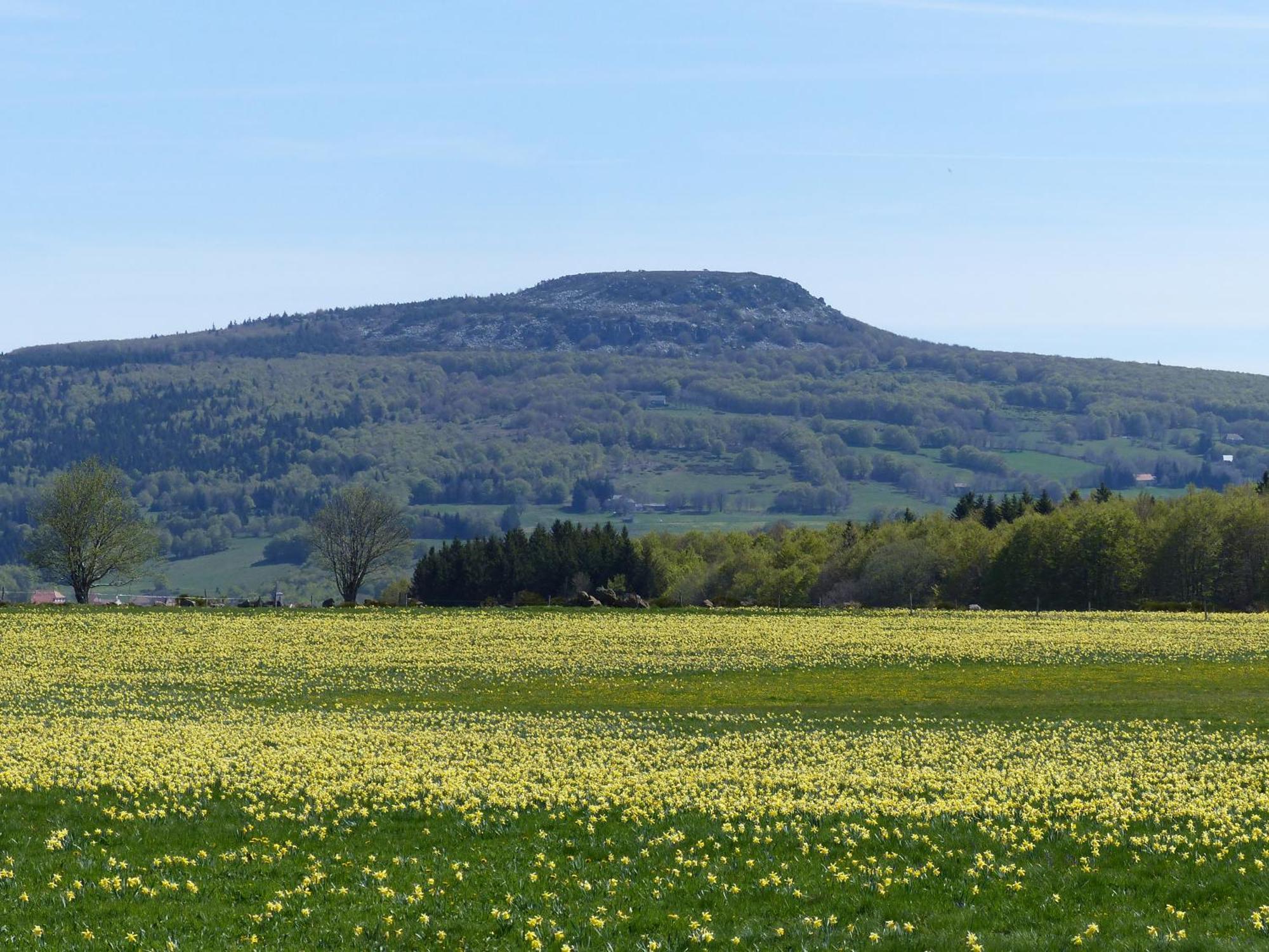 Terres De France - Le Domaine Des Vans Chambonas Exteriér fotografie
