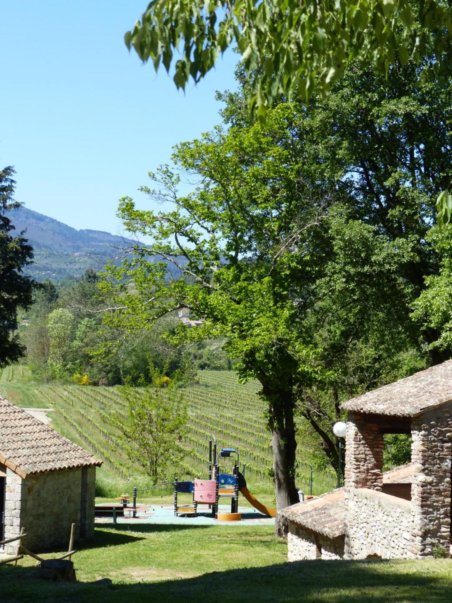 Terres De France - Le Domaine Des Vans Chambonas Exteriér fotografie